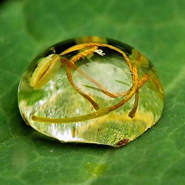 gouttes de pluie-05.jpg